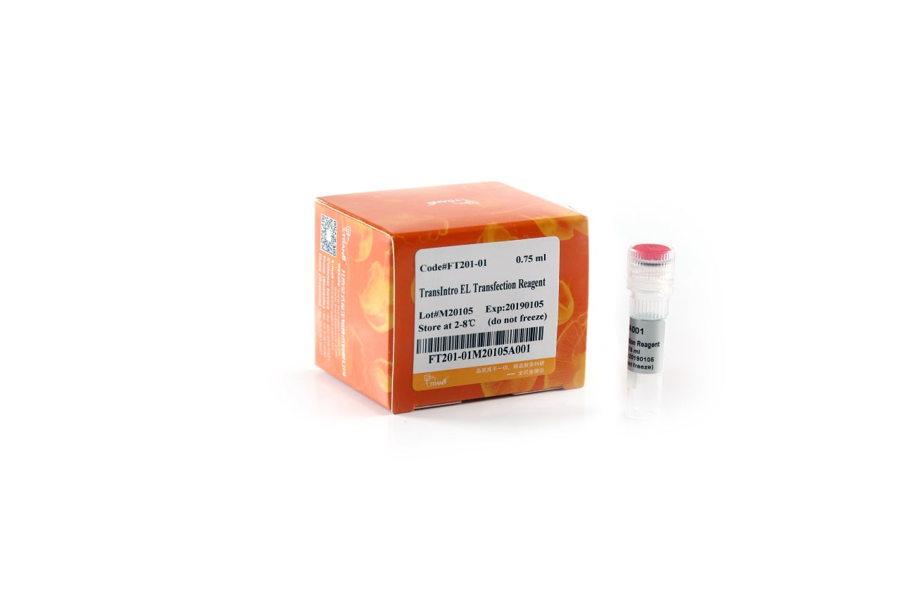 TransIntro™ EL Transfection Reagent