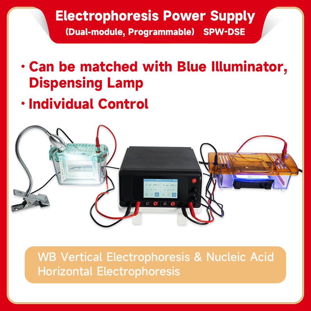 Genequip™ Electrophoresis Power Supply (Dual Module, Programmable)