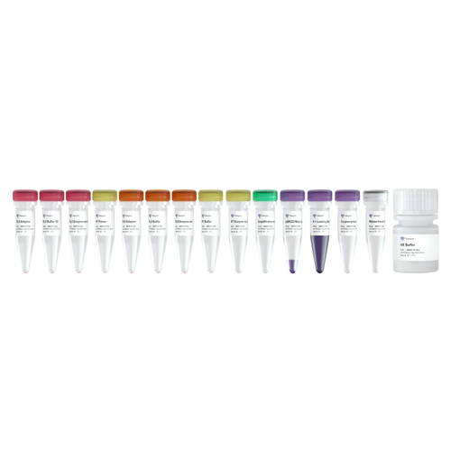VAHTS Small RNA Library Prep Kit for Illumina®