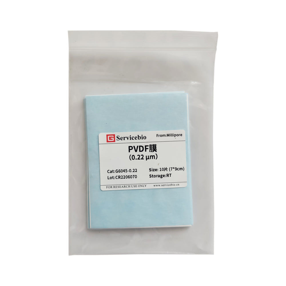 PVDF Membrane (0.2 μm)