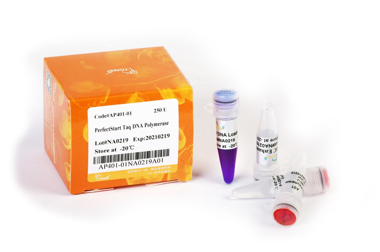 PerfectStart® Taq DNA Polymerase