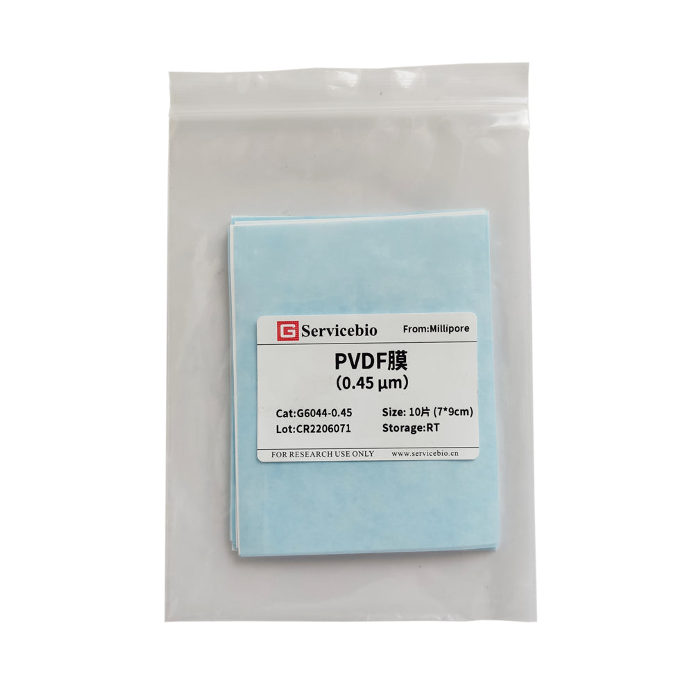 PVDF Membrane (0.45 μm)