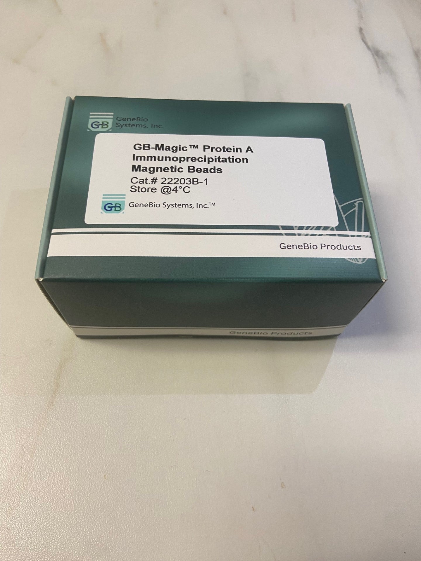 GB-Magic™ Protein A Immunoprecipitation Magnetic Beads