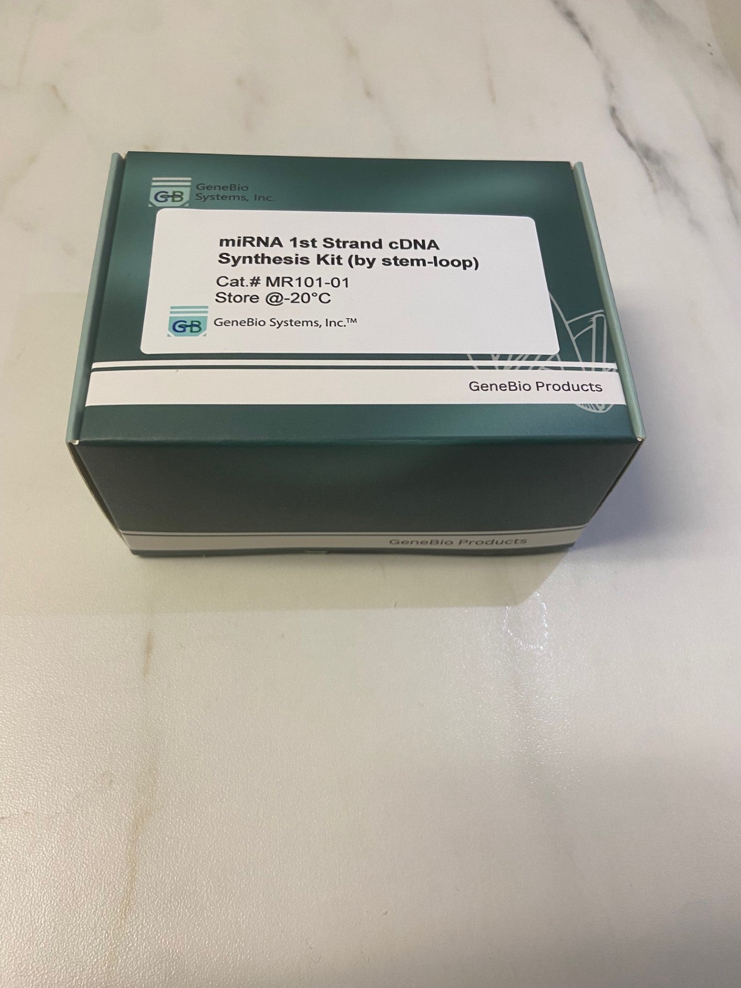 miRNA 1st Strand cDNA Synthesis Kit (by stemloop) GeneBio Systems