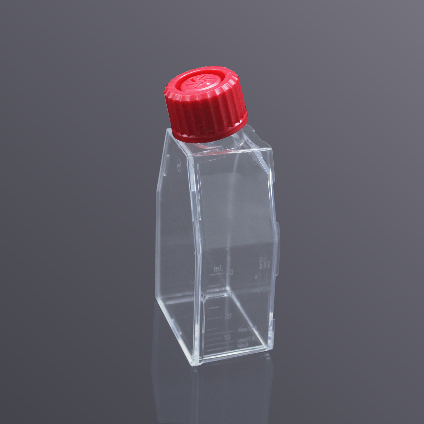 T25 Cell Culture Flasks