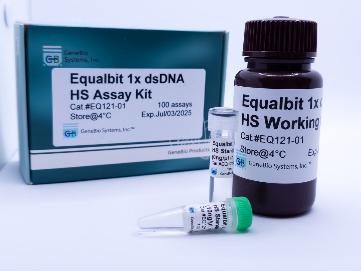 Equalbit 1x dsDNA HS Assay Kit