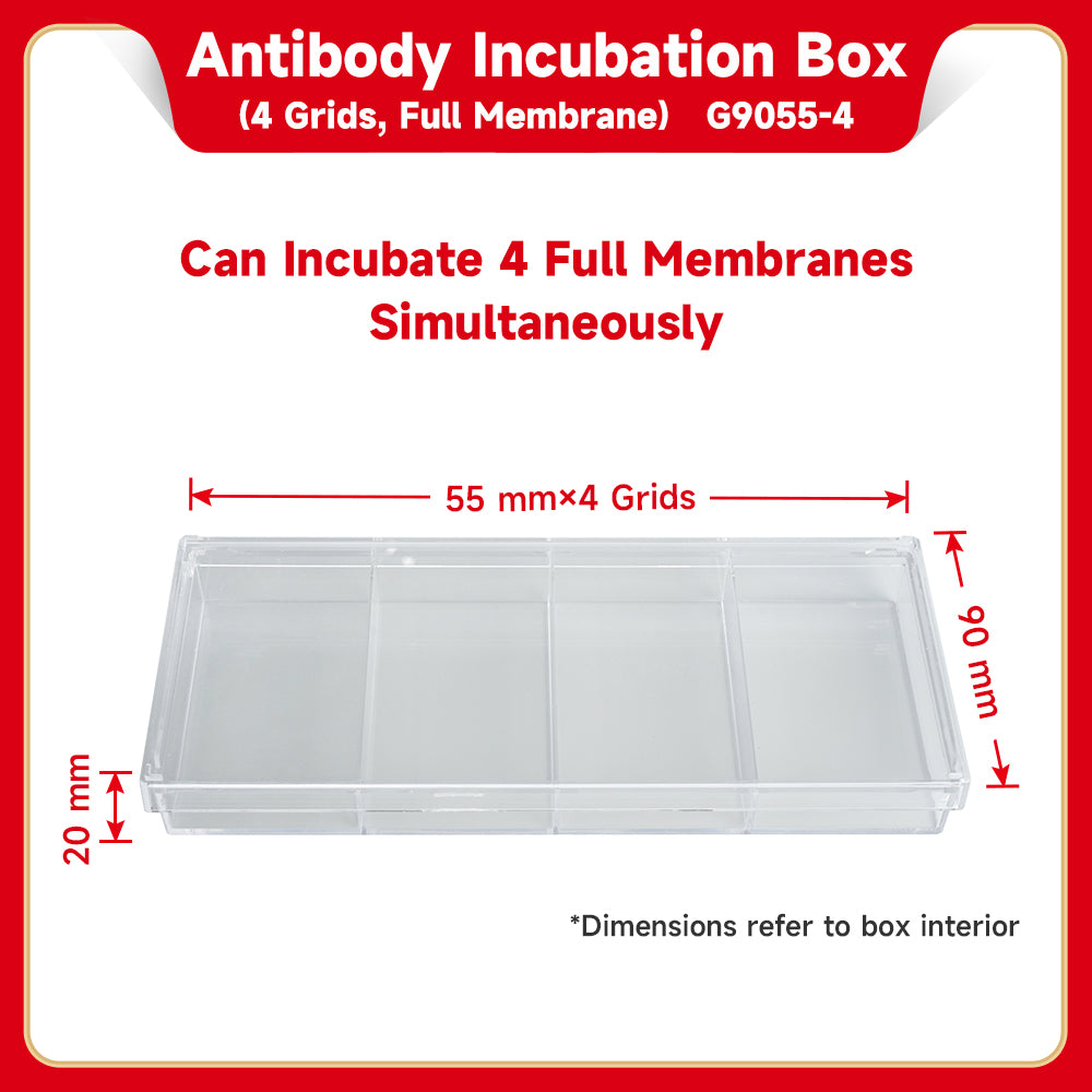 Genequip™ Western Blot Antibody Incubation Boxes