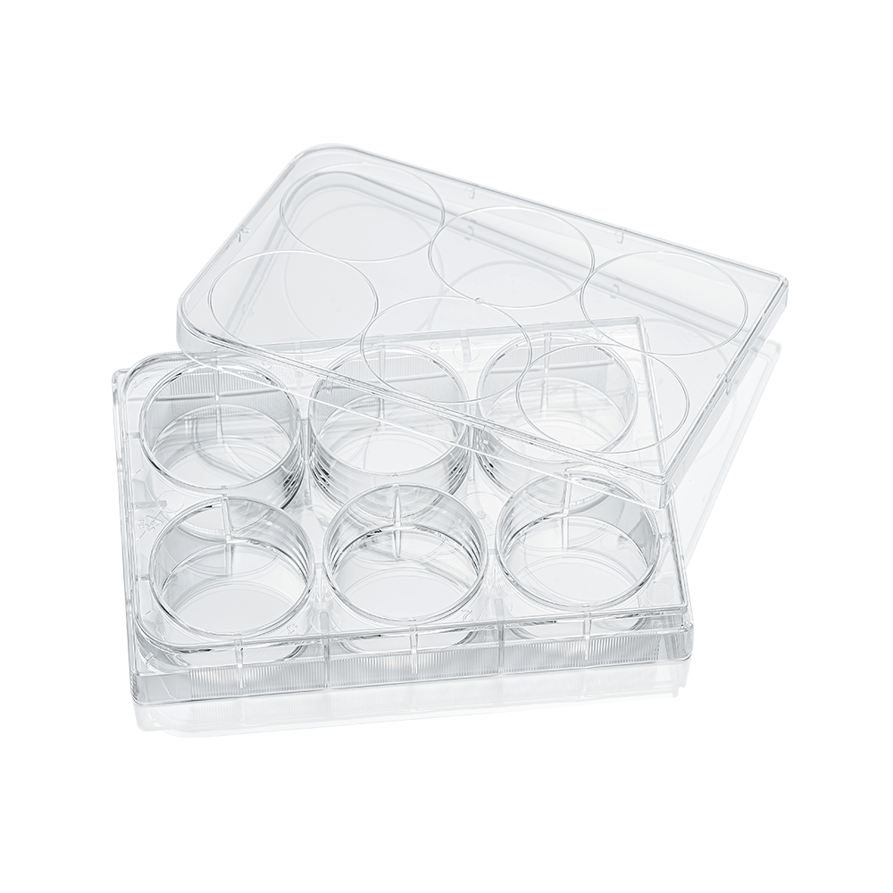 6-well clear flat bottom ultra-low attachment plates, individually wrapped, sterile, skin packing