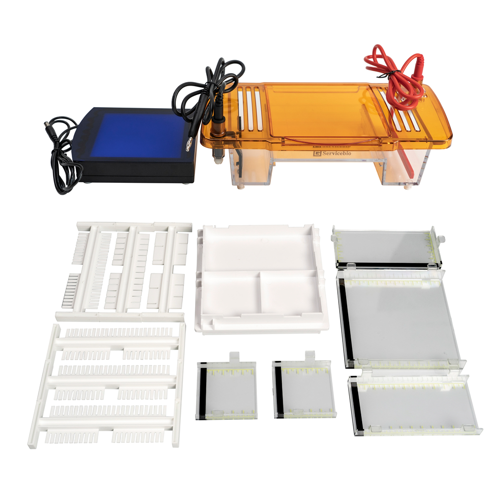LiveBand™ Agarose Gel System(Electrophoresis Tank + blue light transilluminator)