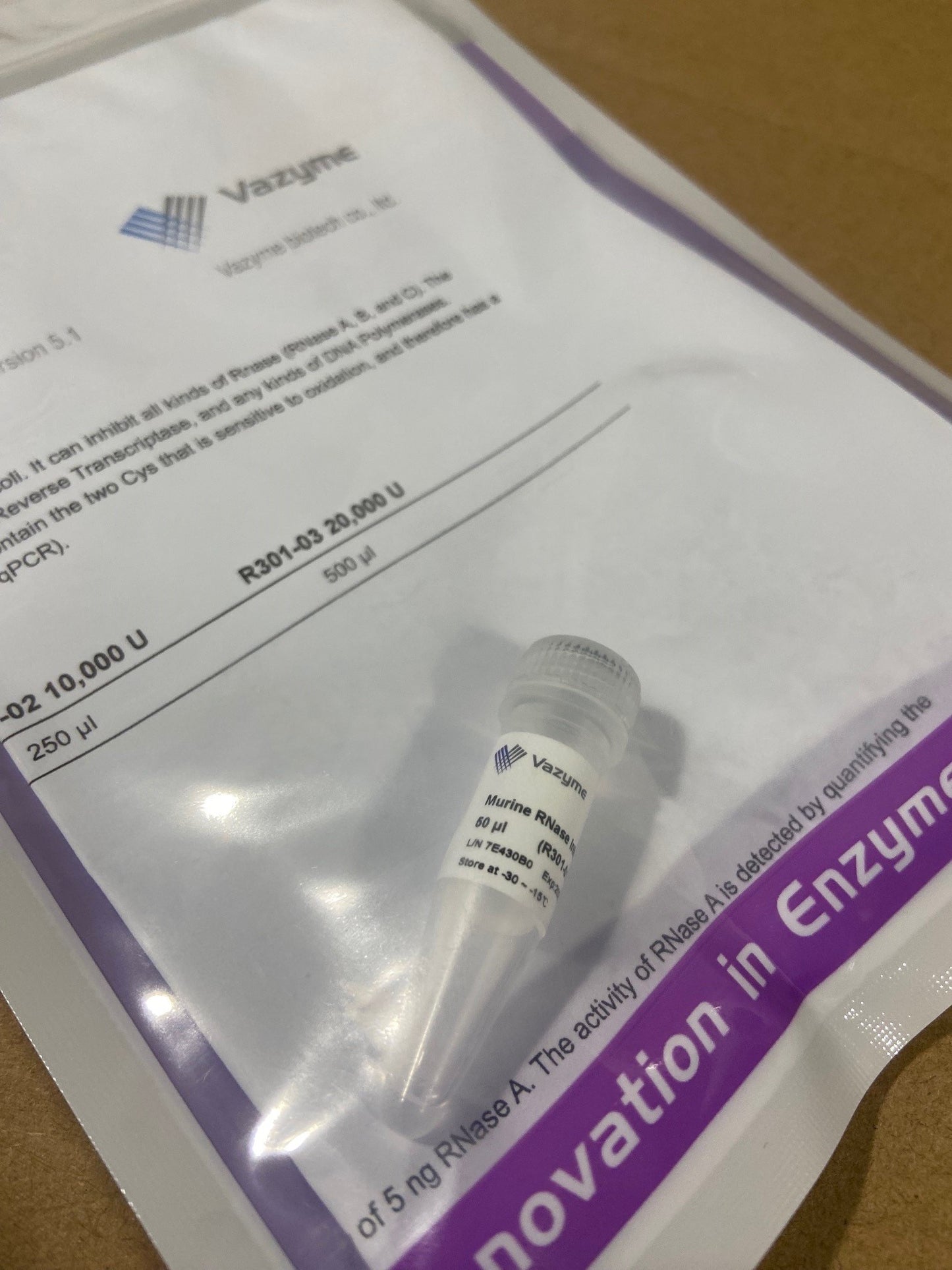 Murine RNase Inhibitor