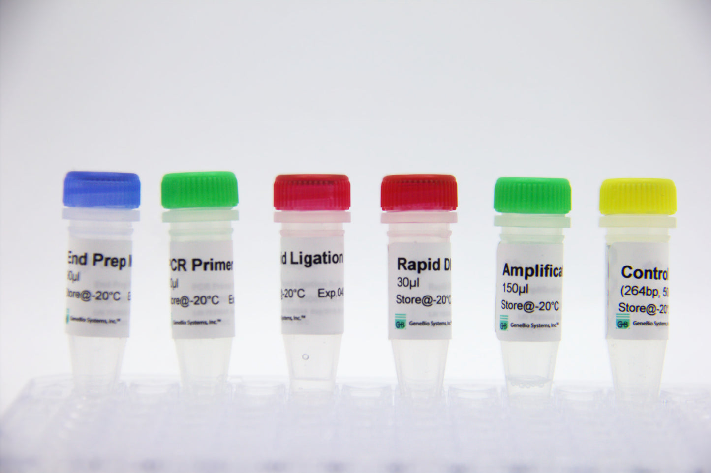 VAHTS Universal Plus DNA Library Prep Kit for Illumina V2