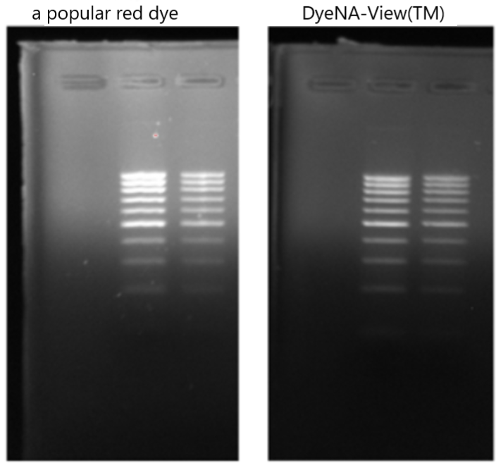 DyeNA-View™ Gel Stain
