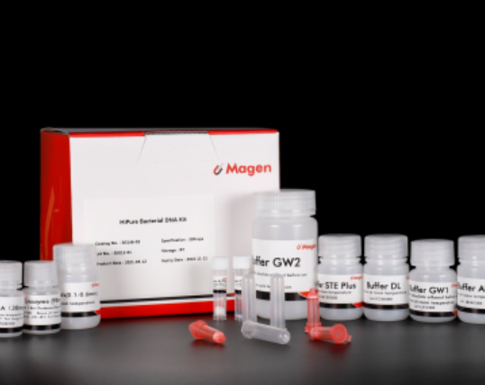HiPure Bacterial DNA Kit