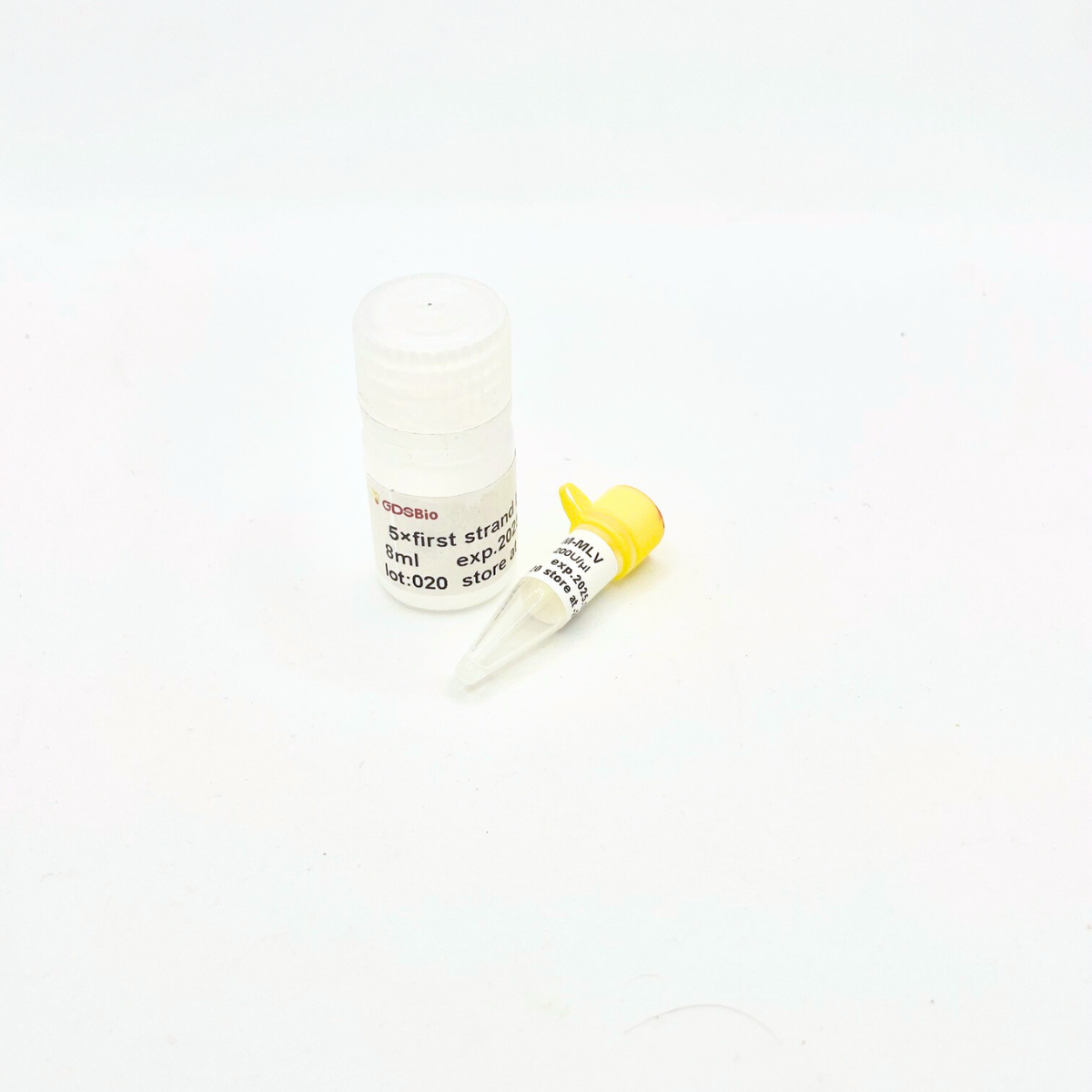 M-MLV Reverse Transcriptase