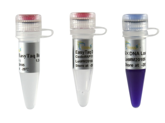 10×EasyTaq® Buffer (with Mg2+)