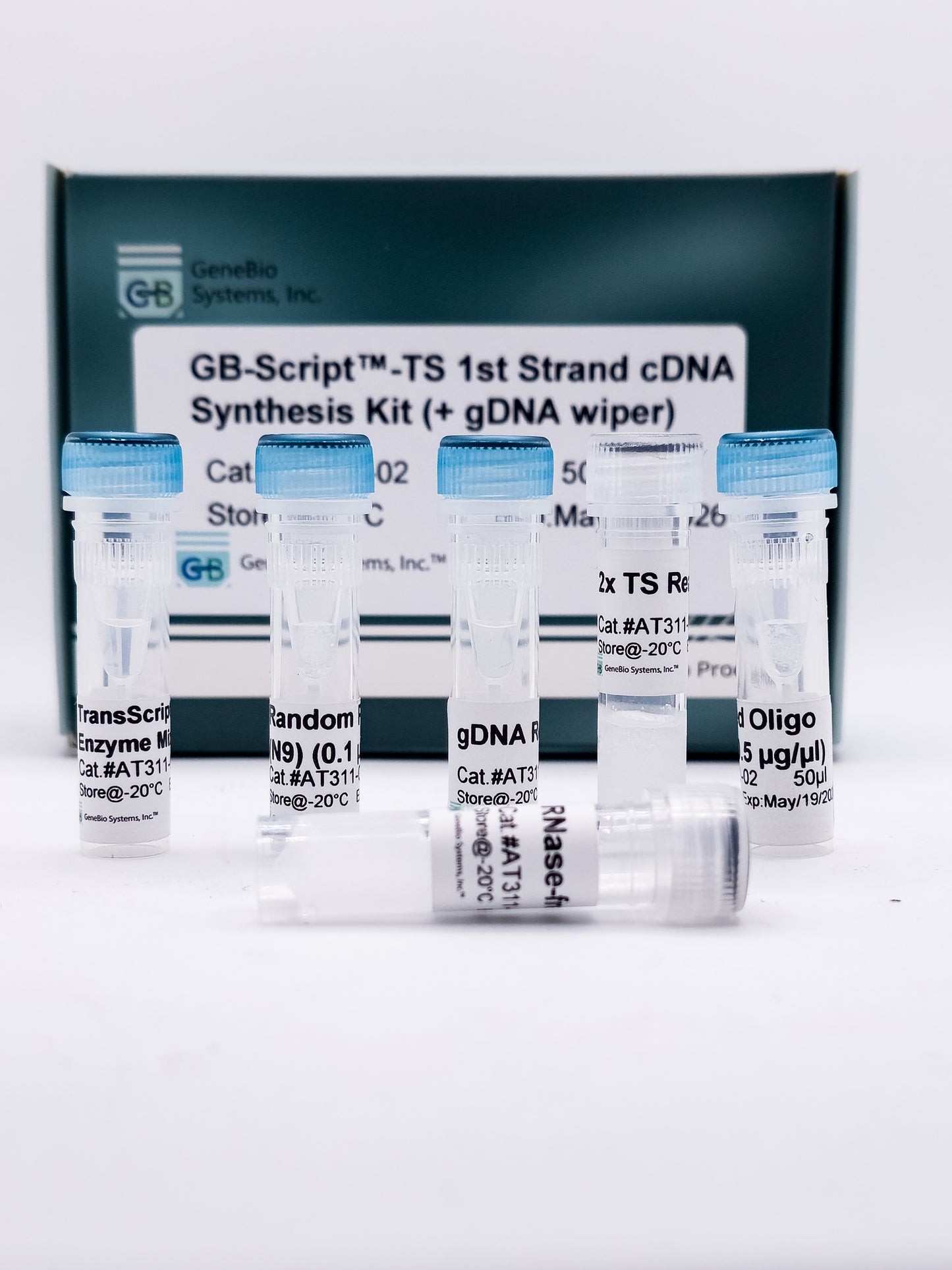 GB-Script™-TS 1st Strand cDNA Synthesis Kit (+ gDNA wiper)