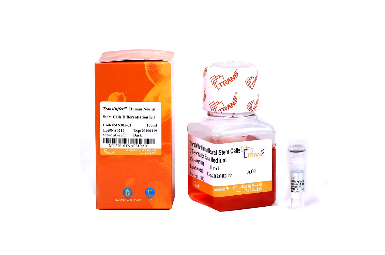 TransDiffer™ Human Neural Stem Cells Differentiation Kit
