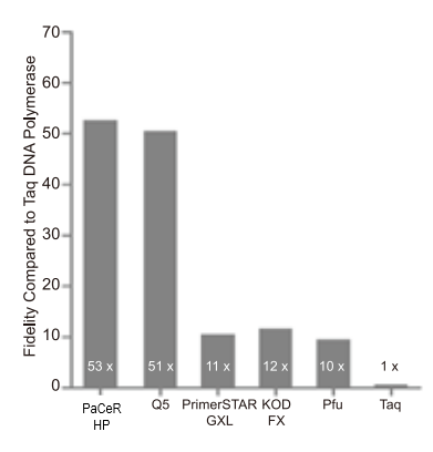 GB-AMP™ PaCeR™ HP™ DNA polymerase