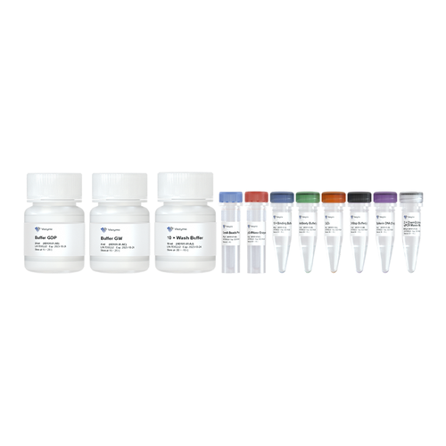 Hyperactive pG-MNase CUT&RUN Assay Kit for PCR/qPCR