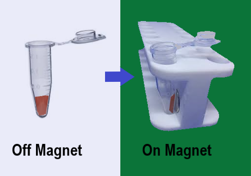 GB-Magic™ DNA Magnetic Beads