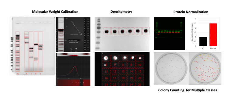 UVP BioSpectrum Advanced System