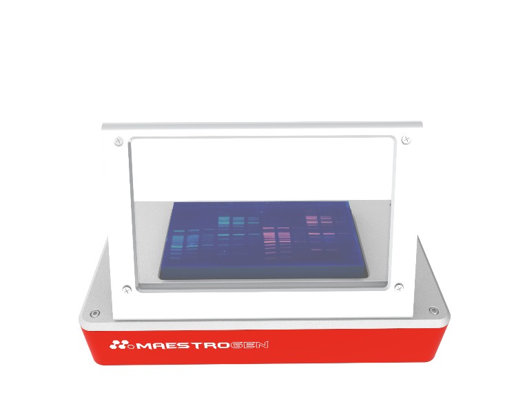 UltraSlim UV Transilluminator