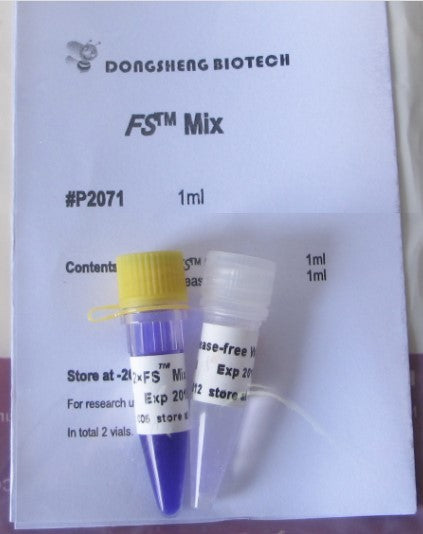 FS Fast DNA Polymerase 2x Master Mix