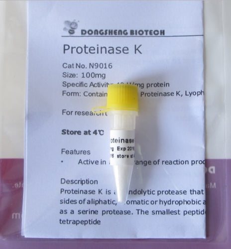 Proteinase K  Lyophilized