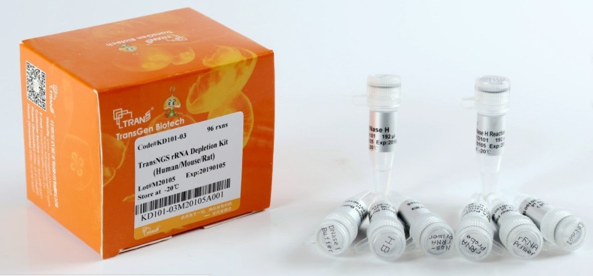 TransNGSTM rRNA Depletion Kit (Human/Mouse/Rat)