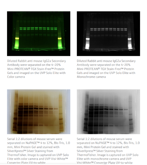 UVP Solo Elite System and UVP GelSolo System