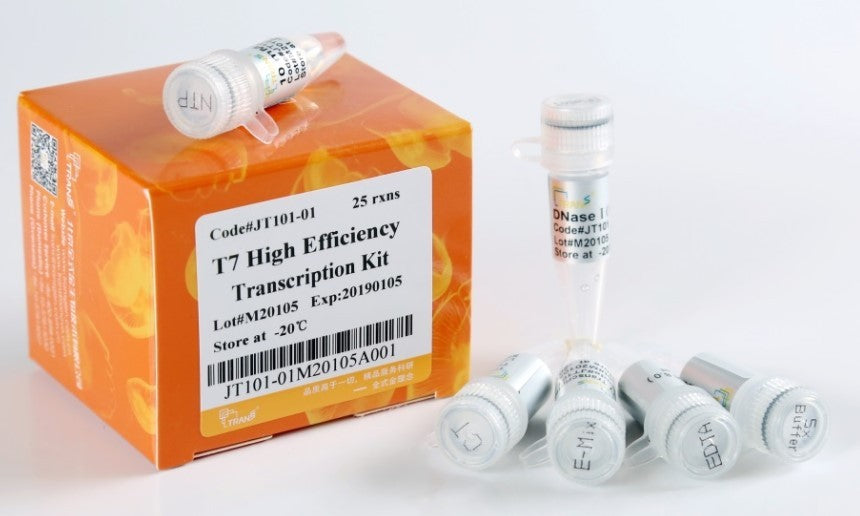 T7 High Efficiency Transcription Kit