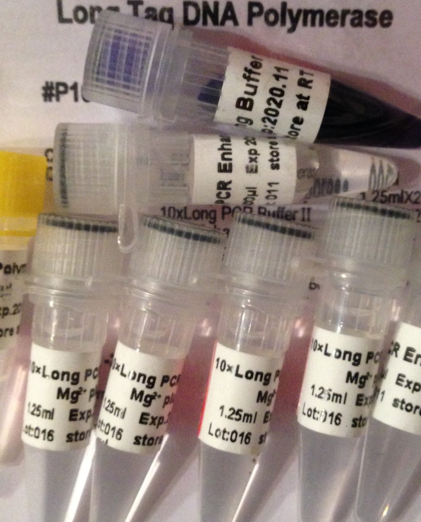 Long PCR Taq DNA polymerase