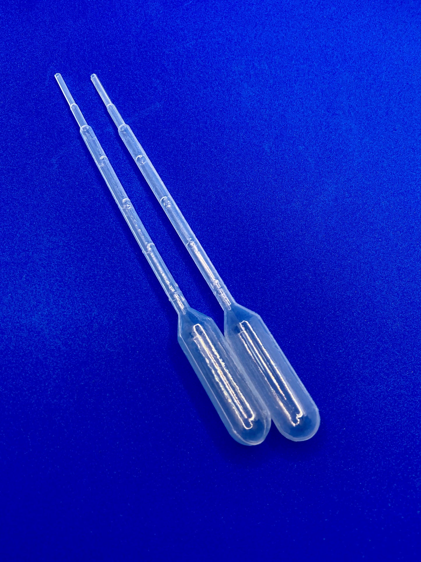 Transfer/Pasteur Pipettes