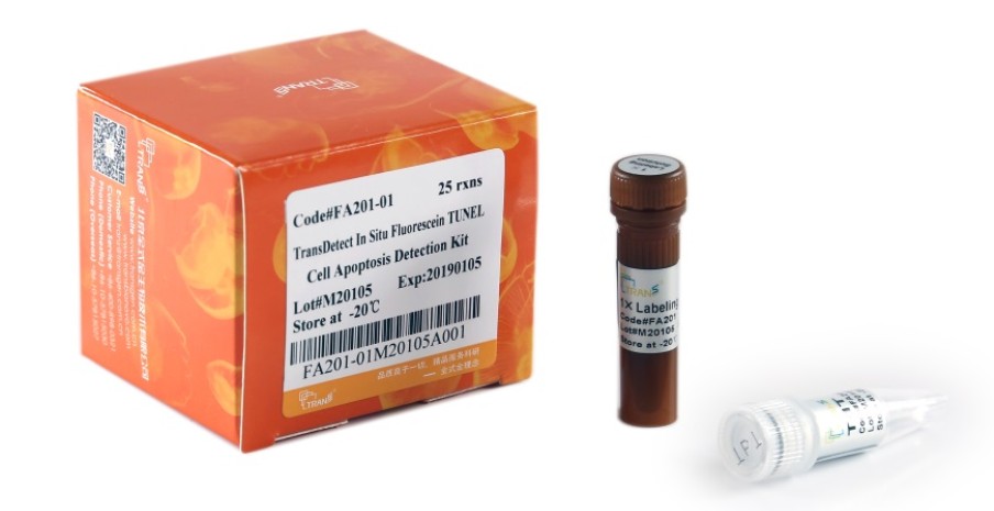 TransDetect® In Situ Fluorescein TUNEL Cell Apoptosis Detection Kit