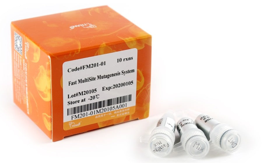 Fast MultiSite Mutagenesis System