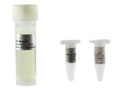 BL21(DE3) Chemically Competent Cell