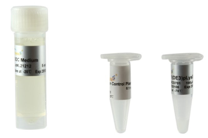 BL21 (DE3) pLysS Chemically Competent Cell