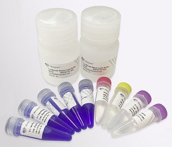 One Step Mouse Genotyping Kit