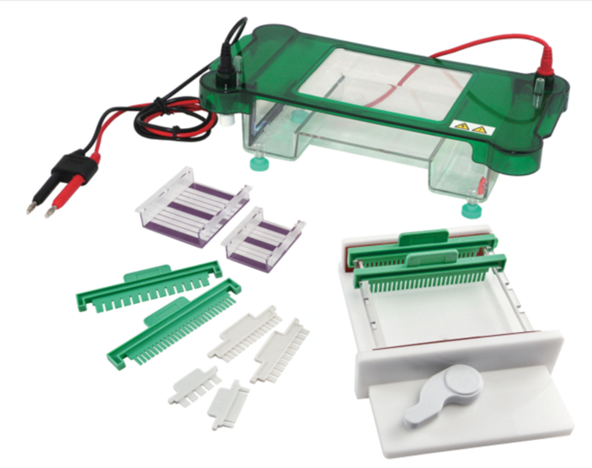 GB-Productivity™ Horizontal Electrophoresis Apparatus System