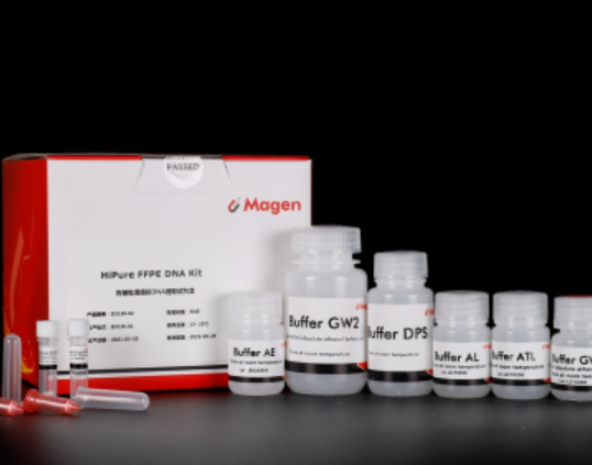 HiPure FFPE DNA Kit
