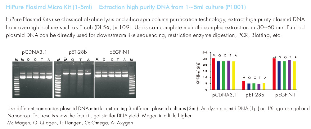 GB-Clean™ Plasmid Miniprep Kit (HiPure Mini system)