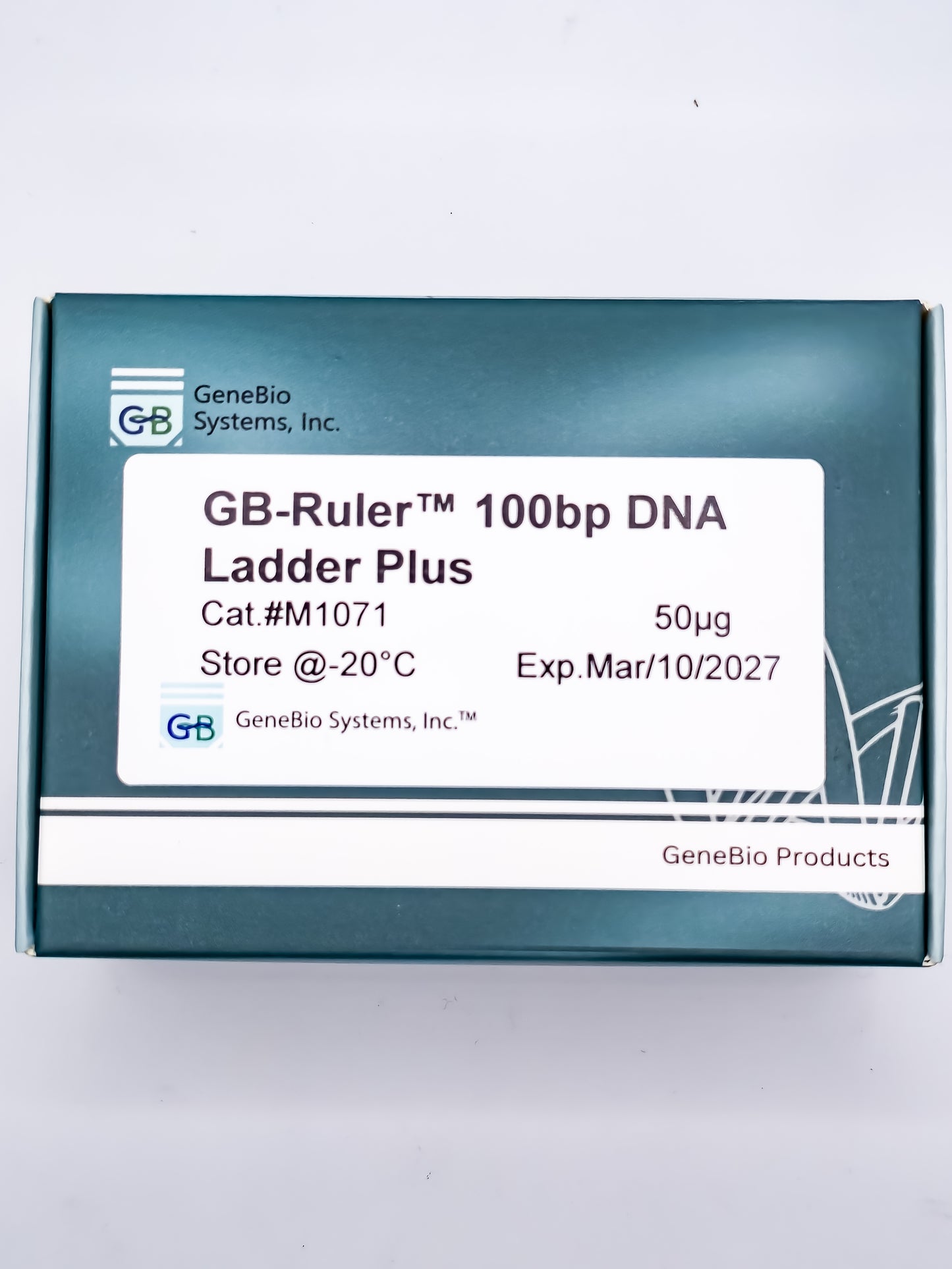 GB-Ruler™ 100 bp DNA Ladder Plus