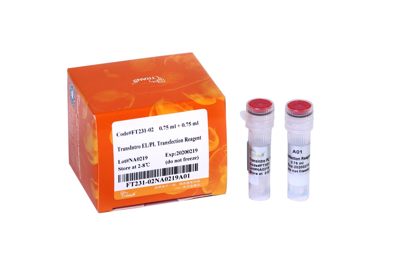 TransIntro™ EL/PL Transfection Reagent