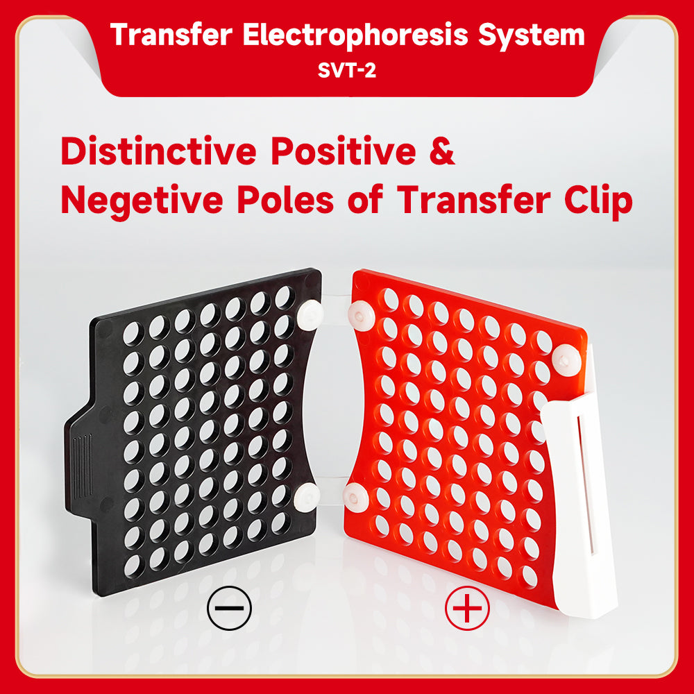 Genequip™ Electrophoresis System (Transfer)-Gel to Blot Transfer System (for Western Blot)