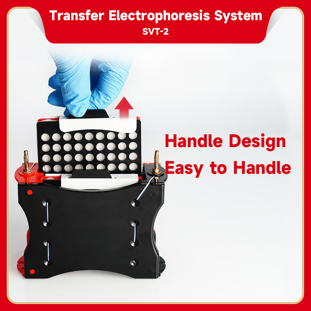 Genequip™ Electrophoresis System (Transfer)-Gel to Blot Transfer System (for Western Blot)