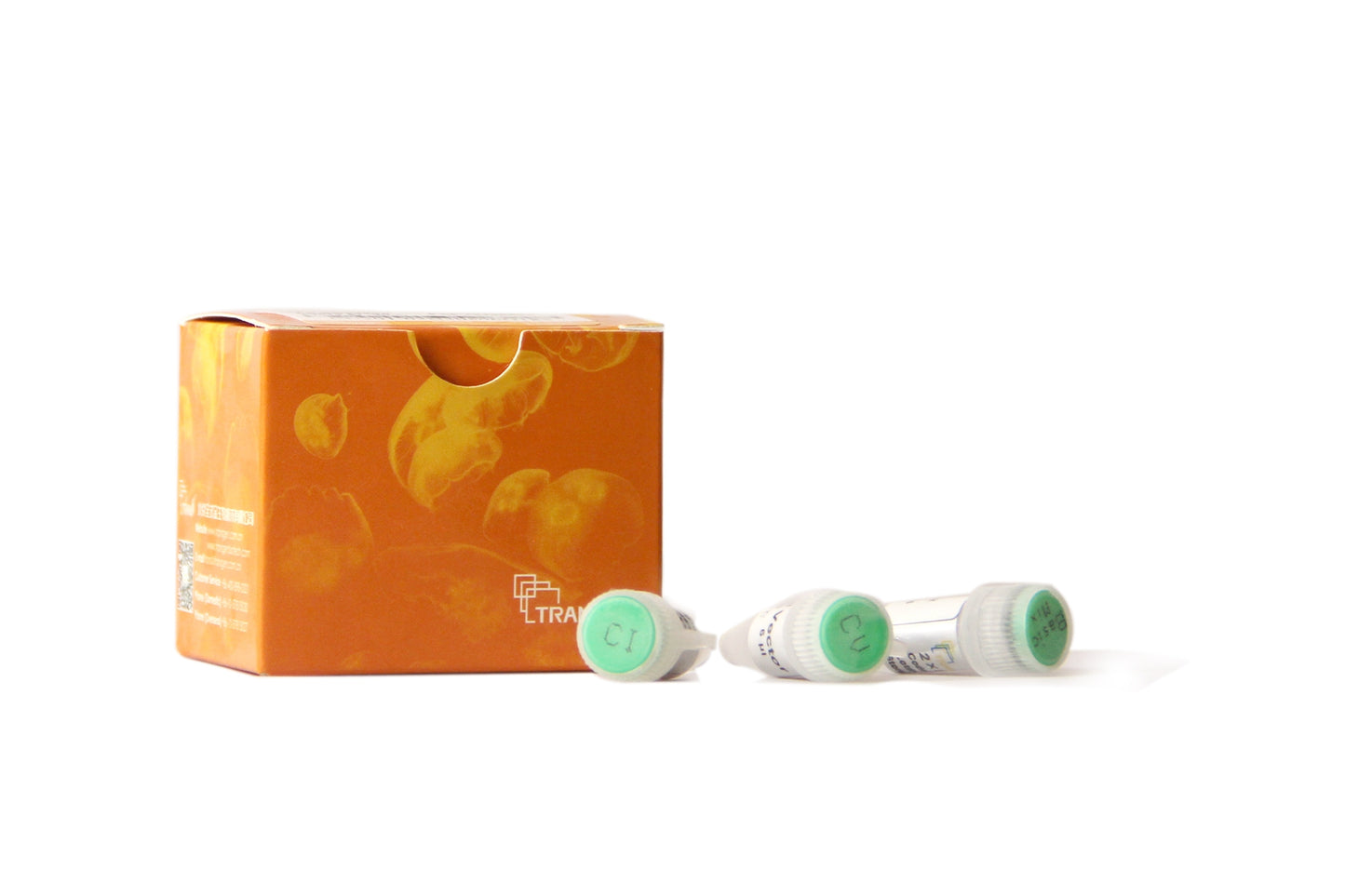 pEASY®-Basic Seamless Cloning and Assembly Kit