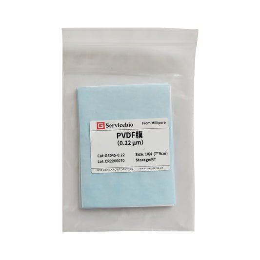 PVDF Membrane (0.2 μm)