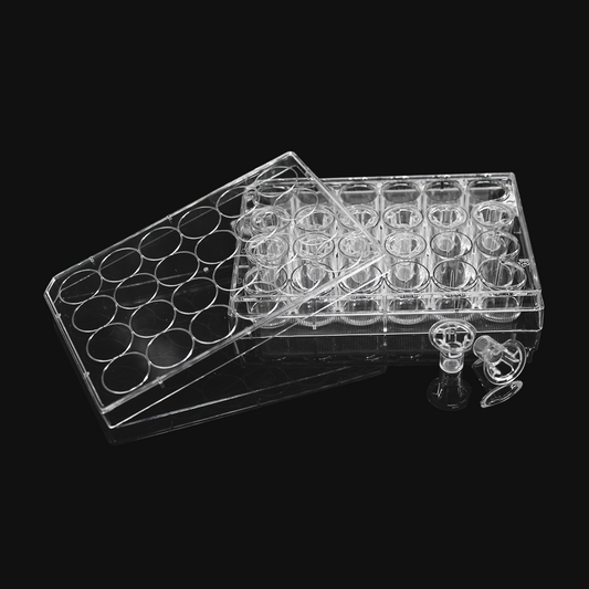 24 wells with 12 permeable support inserts