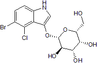 X-Gal (5-Bromo-4-chloro-1H-indoll-3-yl-β-D-galactopyranoside)
