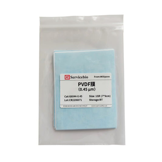PVDF Membrane (0.45 μm)